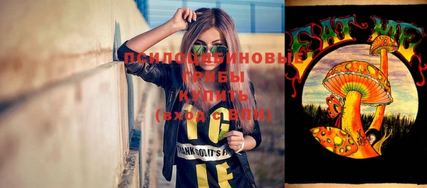 круглые Бородино