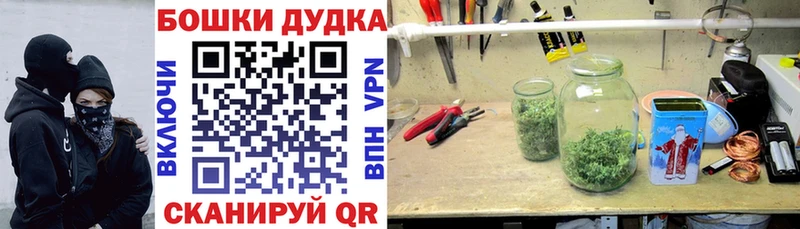 Бошки марихуана сатива  Ачинск 